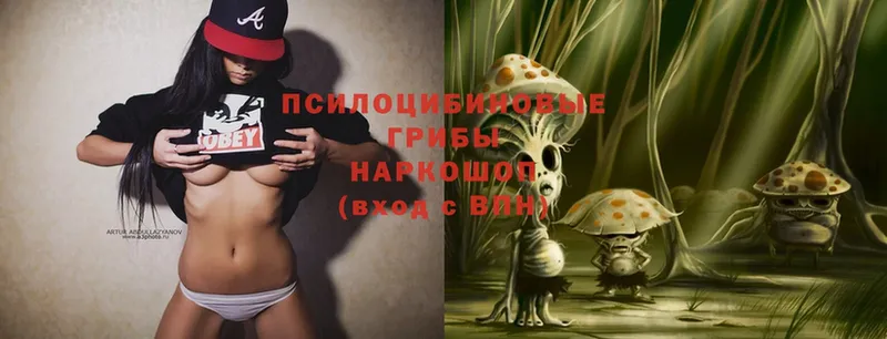 Галлюциногенные грибы Magic Shrooms  Кунгур 